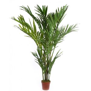 palmera-artificial-en-maceta-205cm-