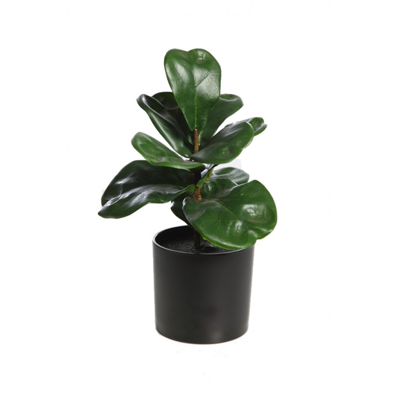 MINI FICUS LYRATA ARTIFICIAL 27CM - Imagen 2