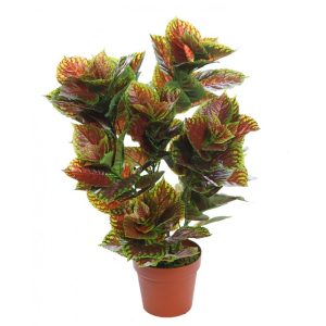 planta-coleo-artificial-70cm